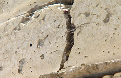 Steel fiber across a concrete crack