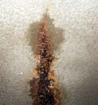 Corrosion in a steel-fiber reinforced shotcrete lining